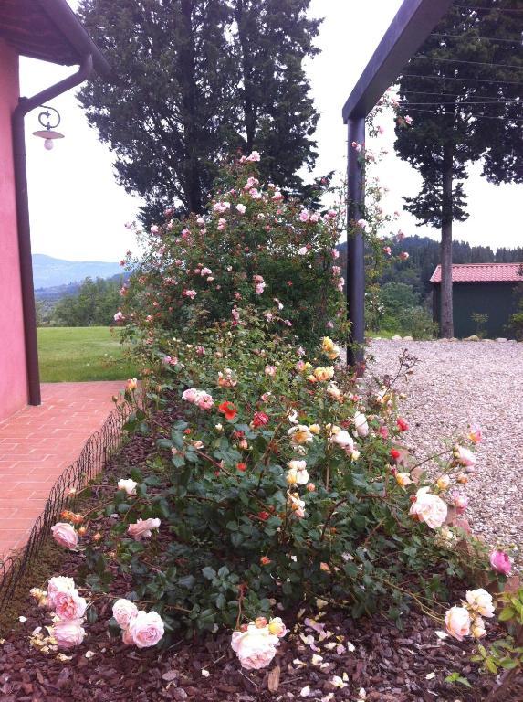 Azienda Agrituristica Bellavista Villa Montespertoli Exterior foto