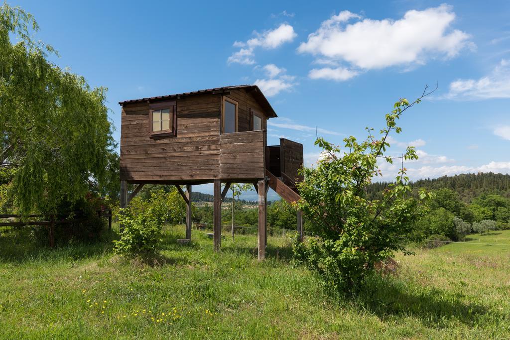 Azienda Agrituristica Bellavista Villa Montespertoli Exterior foto